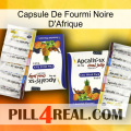 Africa Black Ant Capsule 12